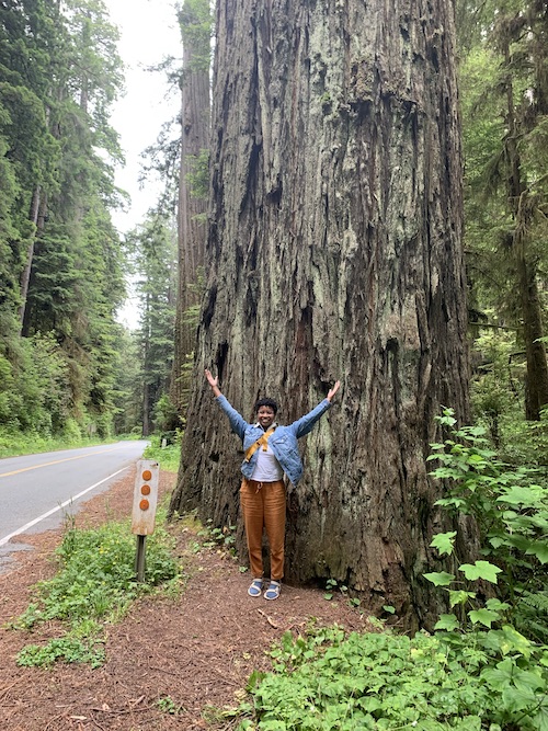 Me standing in front of a tree in the Redwood Forest in California